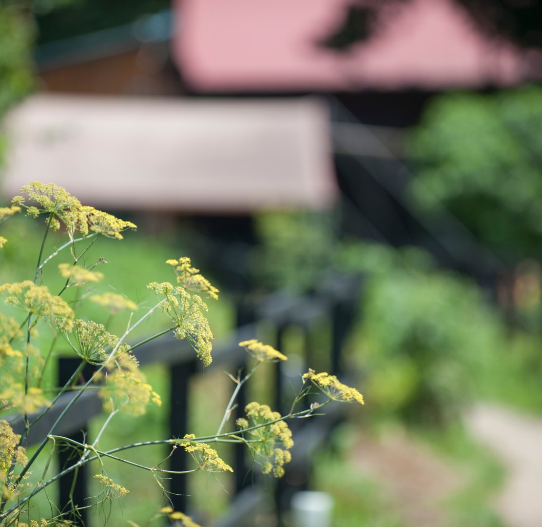 キャンプサイト概要